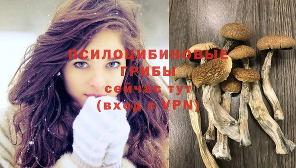 гашиш Надым