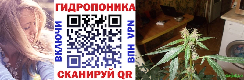 Каннабис White Widow  продажа наркотиков  Воронеж 